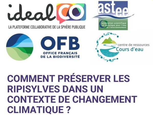 [Webinaire] Comment préserver les ripisylves dans un contexte de changement climatique&nbsp;?