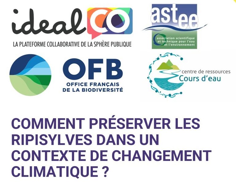 [Webinaire] Comment préserver les ripisylves dans un contexte de changement climatique&nbsp;?